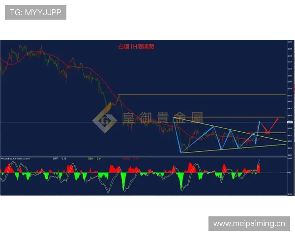 反常识解析：落地支撑手在判罚中的界限和误判容易点在哪里？